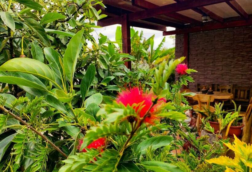 اتاق استاندارد با تخت دوبل, Las Mercedes Airport Quito