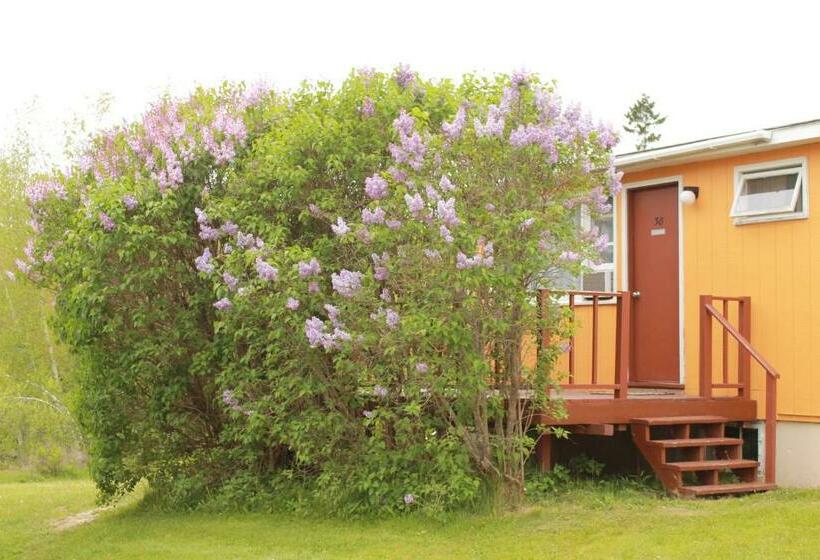 Номер Basic, Acadia Gateway Motel
