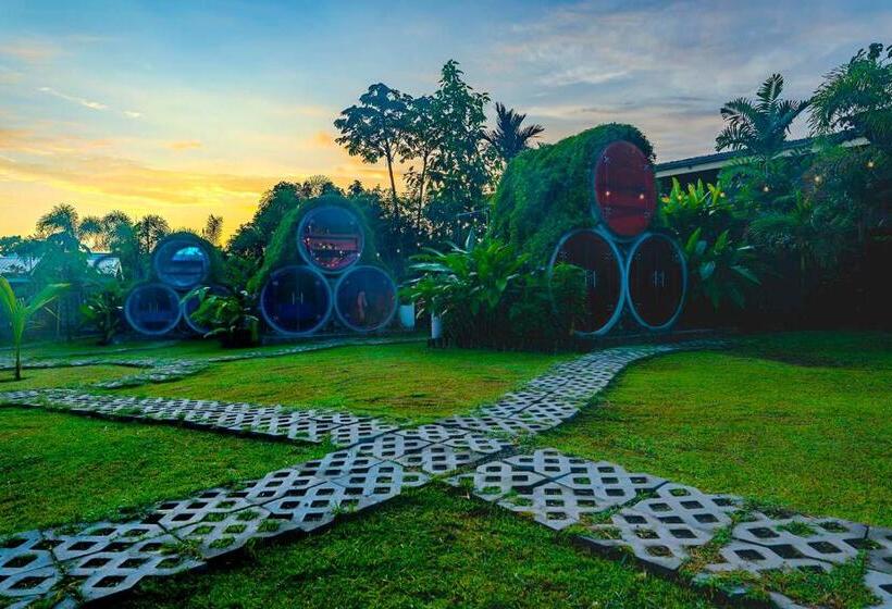 Номер Стандарт, Arenal Backpackers Resort