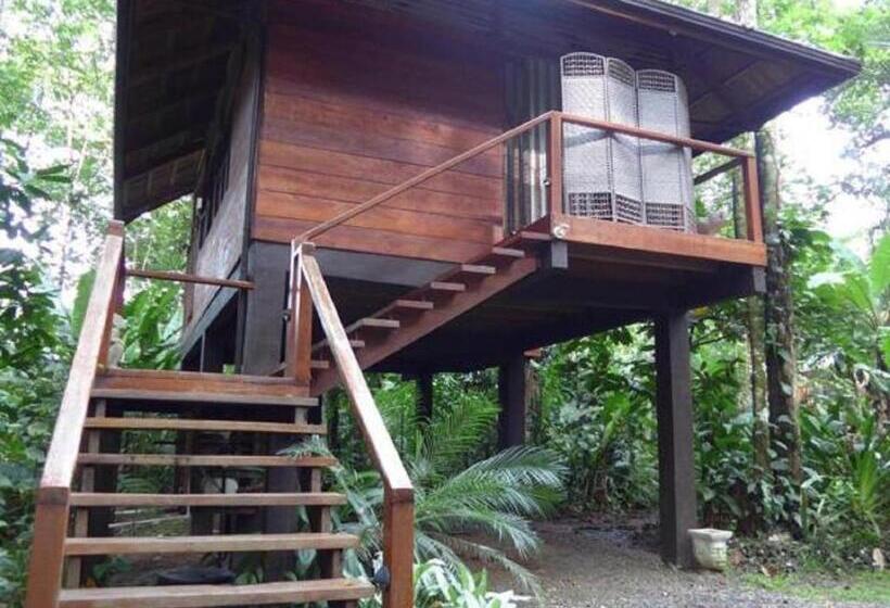 수피리어 방갈로, Mar Verde Lodge