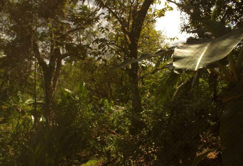 Бунгало Стандарт Вид на Сад, Casa Horizontes Corcovado