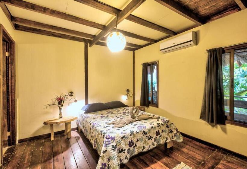 Полулюкс с Балконом, Playa 506 Beachfront Hostel