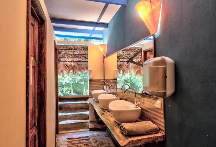 Номер Базовый Совметсный Санузел, Playa 506 Beachfront Hostel