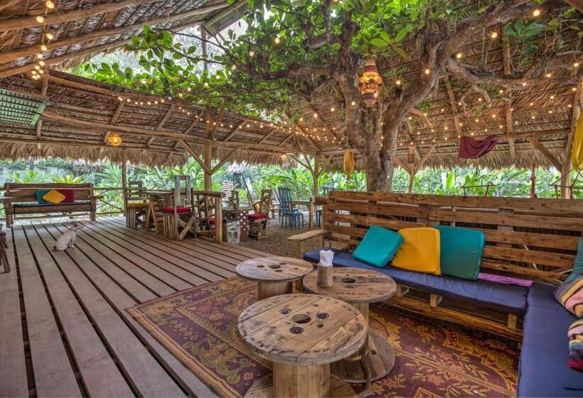 Номер Deluxe Адаптированный для Инвалидов, Playa 506 Beachfront Hostel