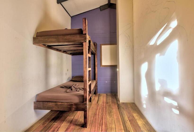 Номер Стандарт Совместная Ванная, Playa 506 Beachfront Hostel