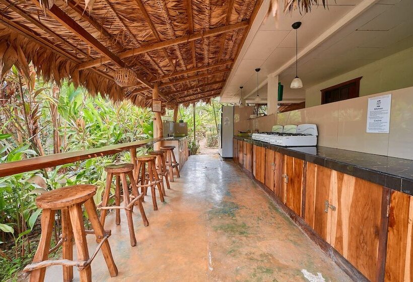 Кровать в Многоместном Номере с Общей Ванной, Playa 506 Beachfront Hostel