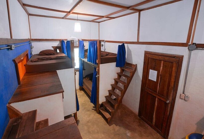 Кровать в Многоместном Номере с Общей Ванной, Playa 506 Beachfront Hostel
