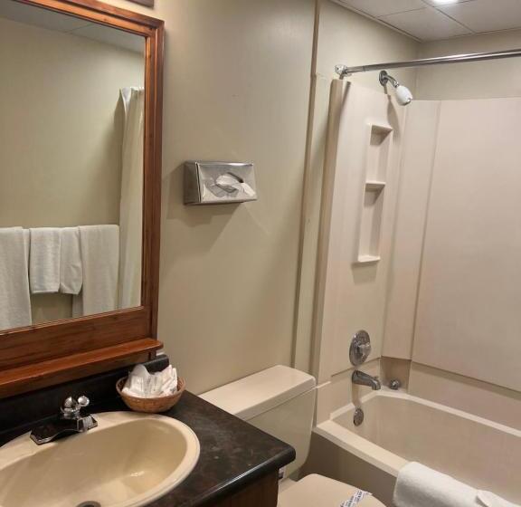 标准间, Capri Motor Inn