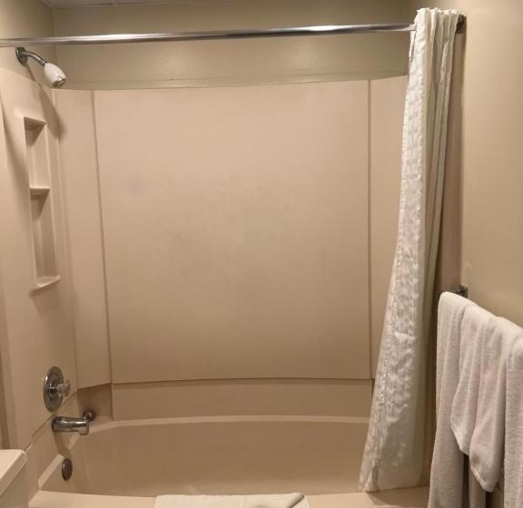 标准三人间, Capri Motor Inn