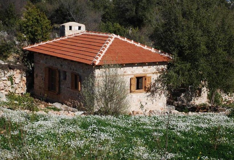 إستوديو قياسى, Hoyran Wedre Country Houses