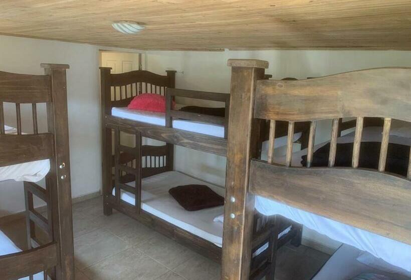 تختخواب در اتاق مشترک, Hostal Hilltop Salento