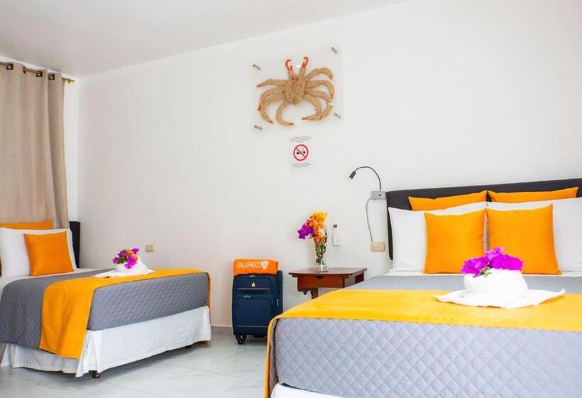 Quarto Estandar Interior, La Zayapa
