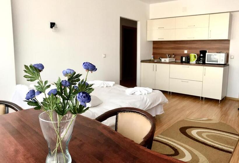 Apartamento 1 Dormitório, Aparthotel Zorilor
