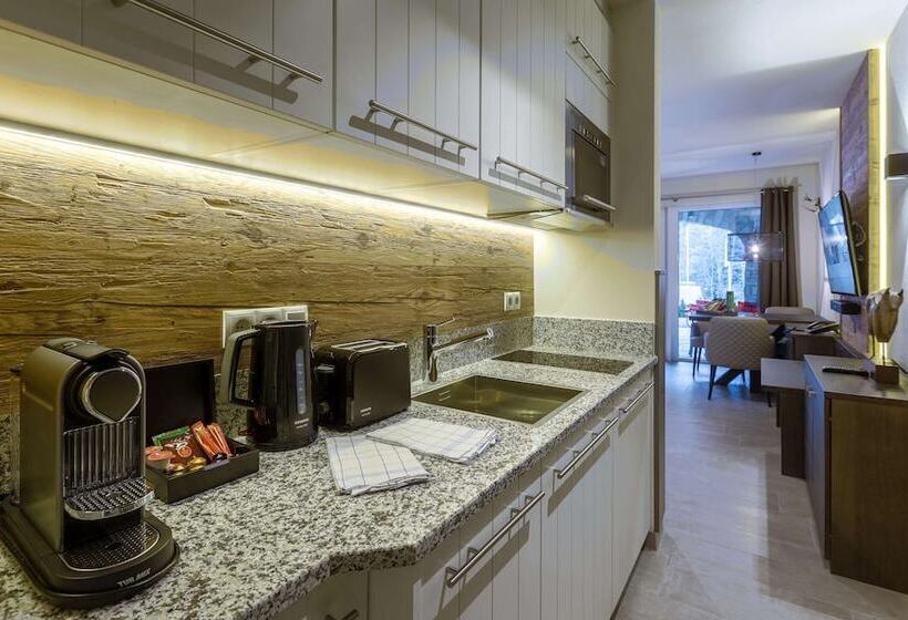 스탠다드 스튜디오, Avenida Mountain Lodges Saalbach