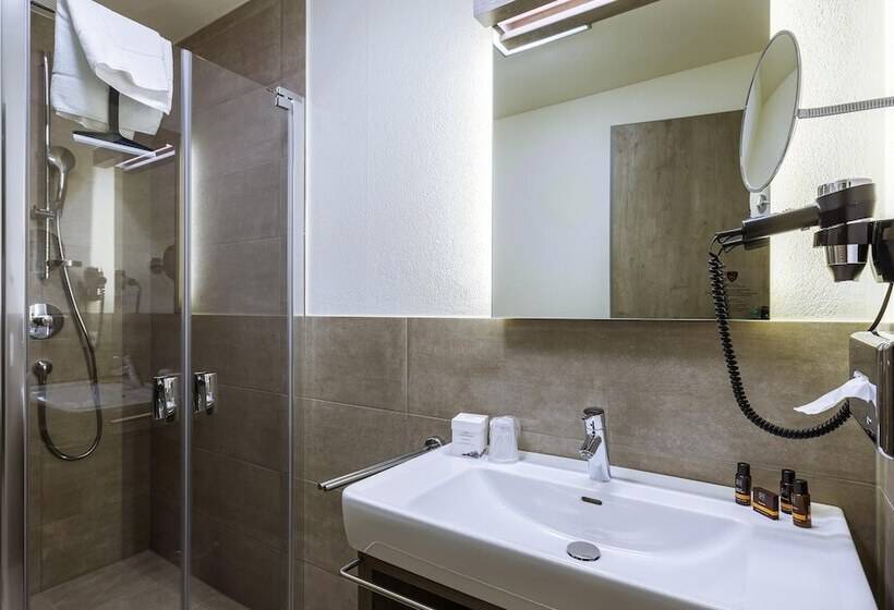 이코노미 룸, Avenida Mountain Lodges Saalbach