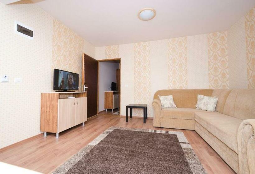 침실 1개 아파트, Camere Apartament Steyna