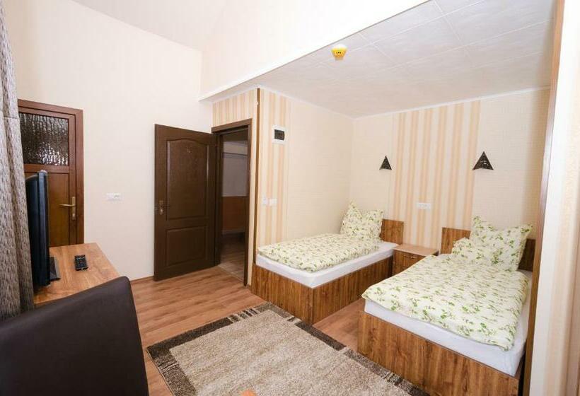 스탠다드 룸, Camere Apartament Steyna