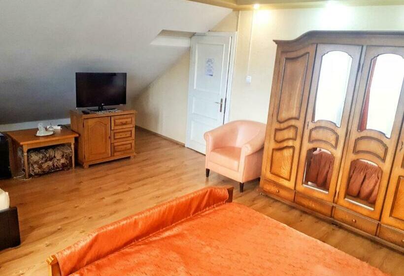 Апартаменты 1 Спальня, Motel Perla Sigheteana