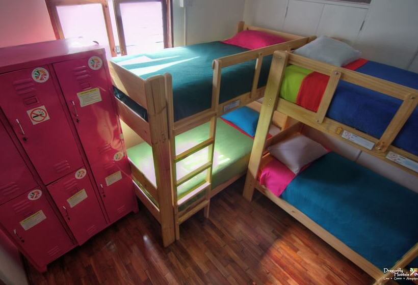 공동 객실, Dragonfly Hostels Miraflores