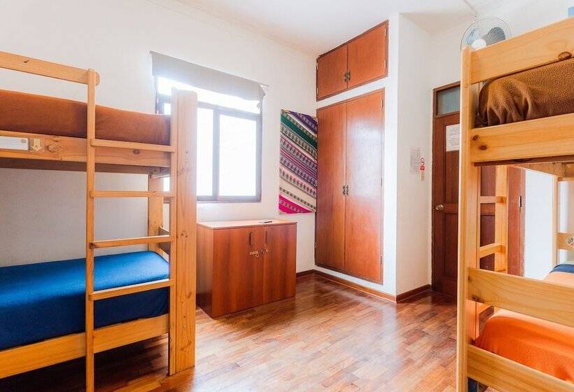 공동 객실, Dragonfly Hostels Miraflores