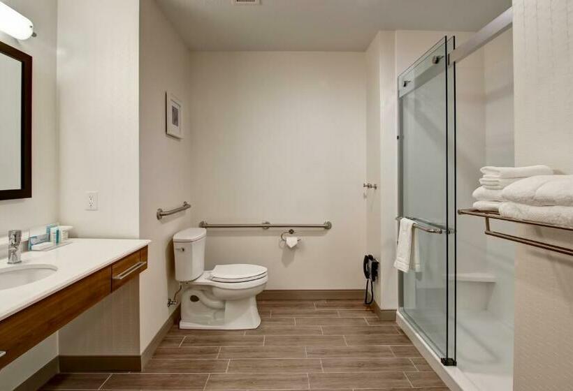Номер Стандарт Адаптированный для Инвалидов, Hampton Inn & Suites By Hilton Grande Prairie