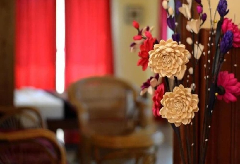 غرفة قياسية, Mea Culpa Kampot