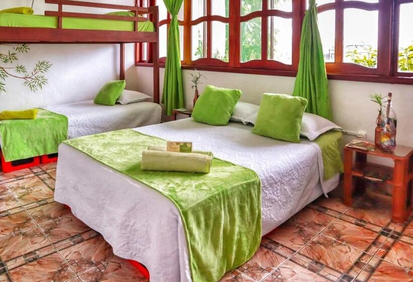 Номер Стандарт, Eco Hotel El Refugio De La Floresta