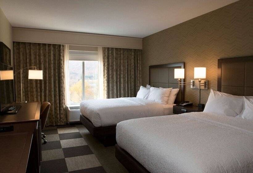 Номер Стандарт 2 Двуспальные Кровати, Hampton Inn & Suites Boone