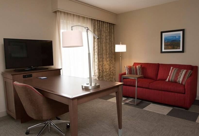 Студия Стандарт Двуспальная Кровать, Hampton Inn & Suites Boone