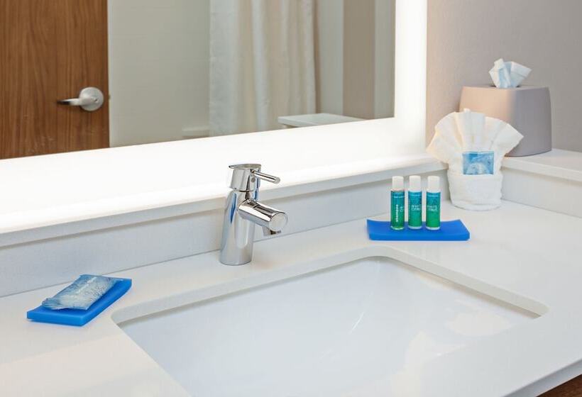 Люкс Адаптированный для Инвалидов, Holiday Inn Express & Suites   Brigham City   North Utah, An Ihg