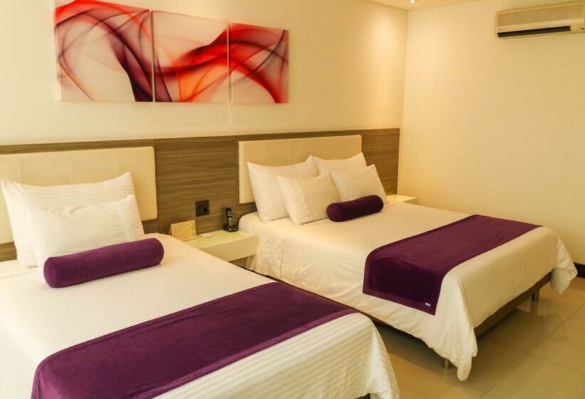 Quarto Estandar, Loyds
