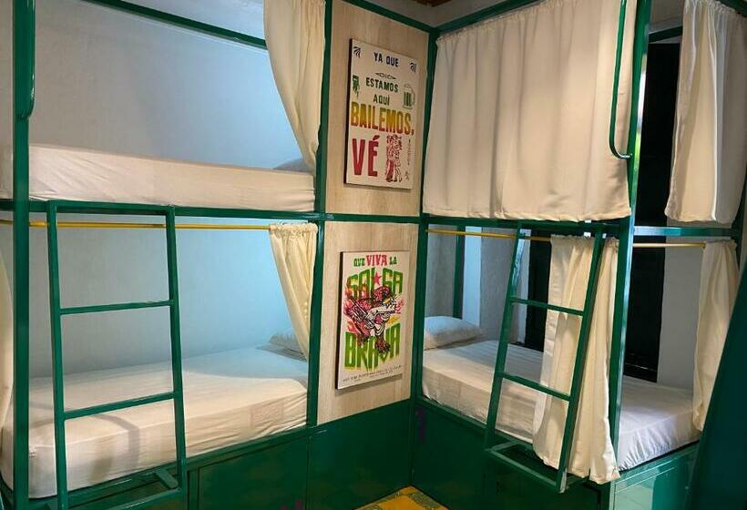 공용 욕실 구비 공동 객실 내의 침대, Viajero Hostel Cali & Salsa School