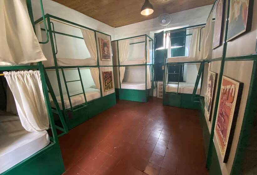 공용 욕실 구비 공동 객실 내의 침대, Viajero Hostel Cali & Salsa School