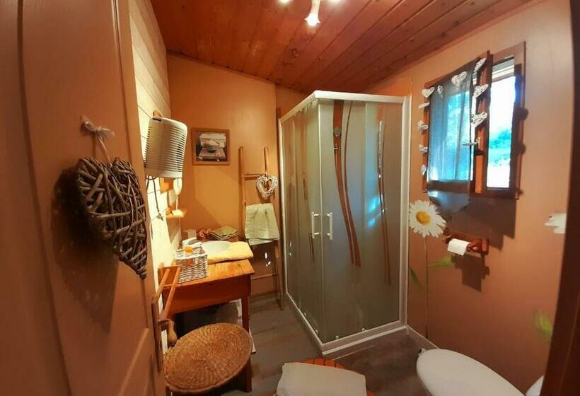 Номер Стандарт, B&b L'albatros