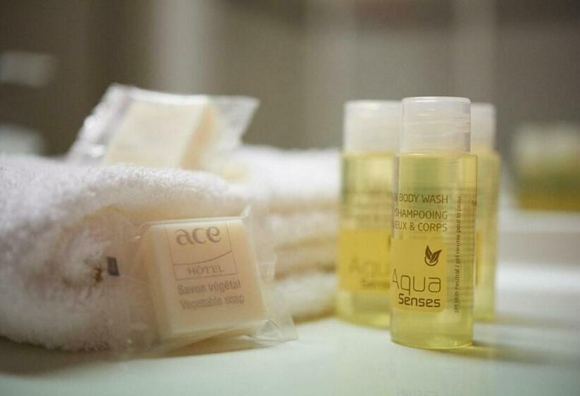 스탠다드 룸, Ace Hotel Annecy