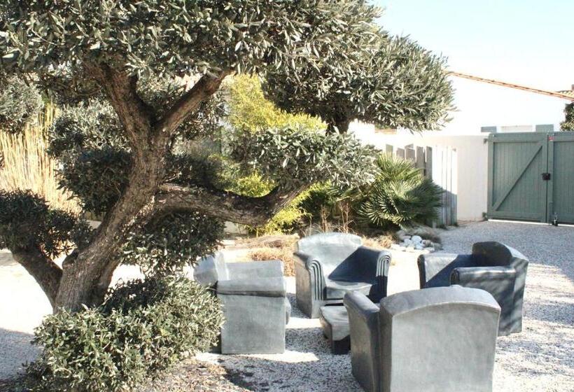 إستديو عائلى, Fleur De Ré