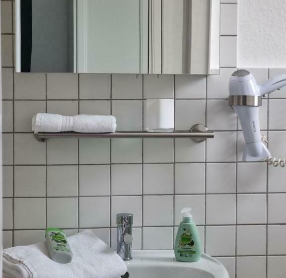 标准单人间, Parkhotel Am Schwanenteich