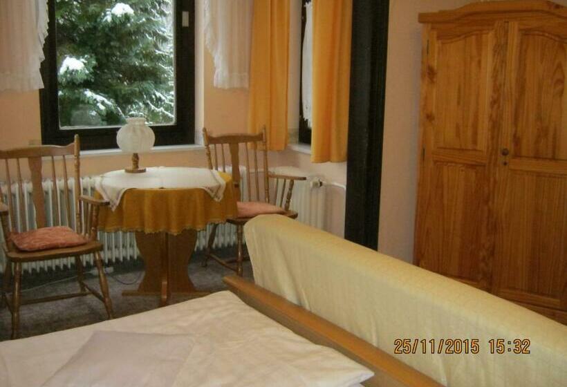 חדר בסיסי, Ferienhotel Waldfrieden
