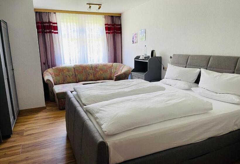 Люкс, Landhotel Wettin