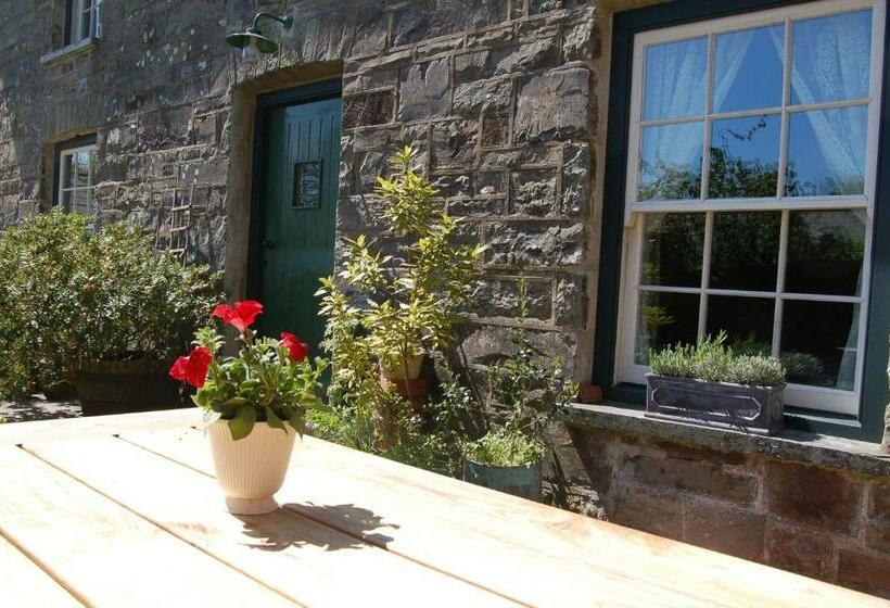 Апартаменты 1 Спальня Нижний Этаж, Nantgwynfaen Organic Farm Wales