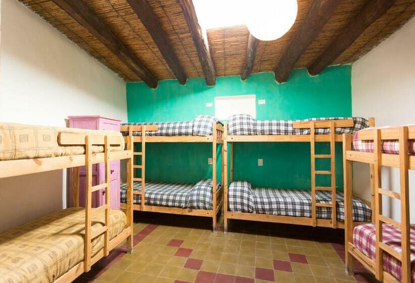 ルームシェアのワンベッド, Viracocha Art Hostel Cachi