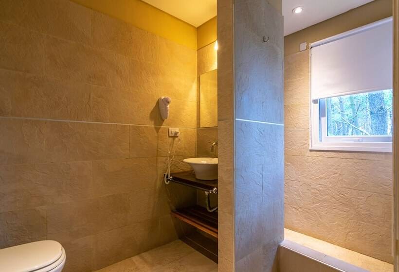 Номер Премиум, Mizu Hotel Boutique
