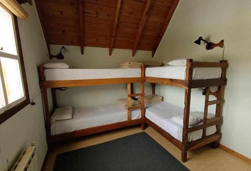 מיטה בחדר משותף, Patagonia Hostel