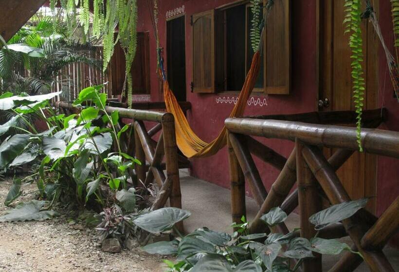 스탠다드 룸, Hostal Mamacucha