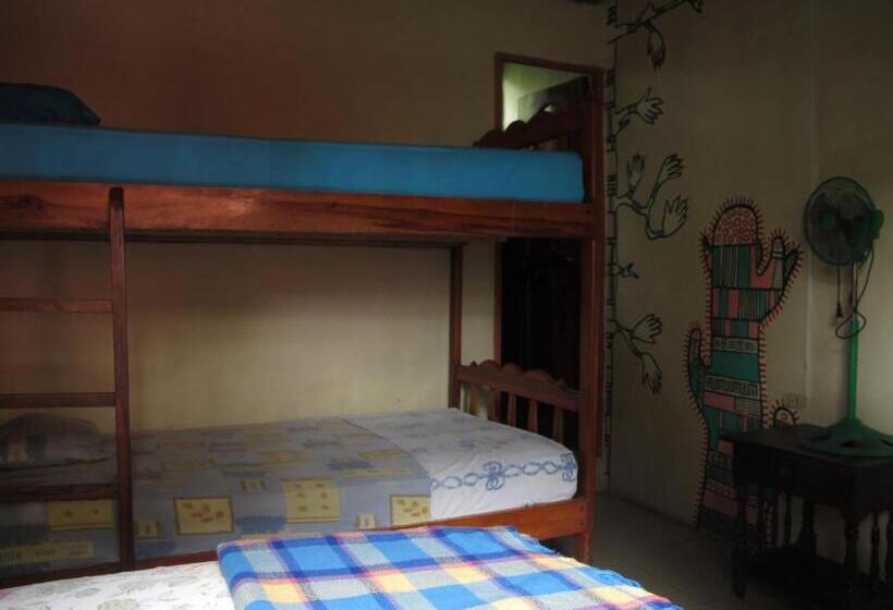 스탠다드 발코니 룸, Hostal Mamacucha