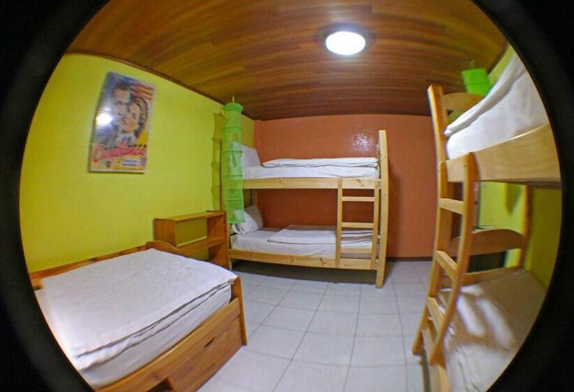 Кровать в Общей Комнате, La Casa Del Molino Blanco B&b