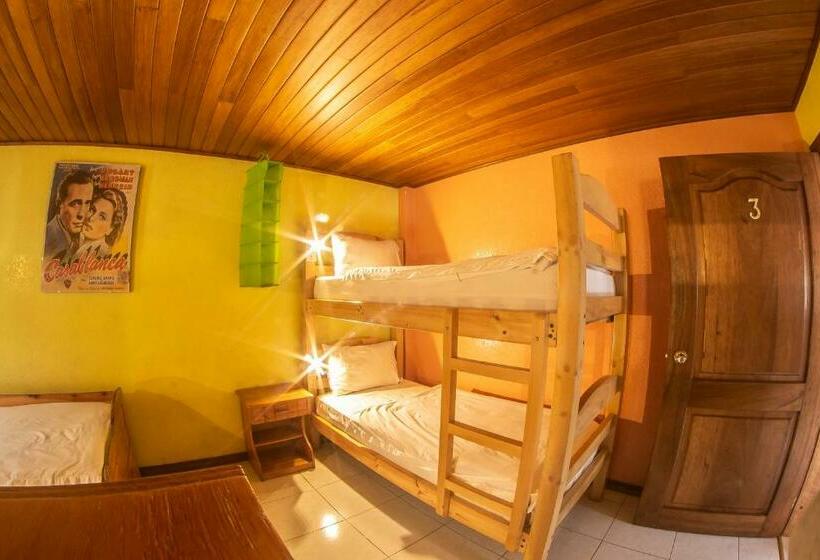 מיטה בחדר משותף, La Casa Del Molino Blanco B&b
