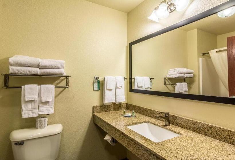 스위트 킹사이즈 침대, Cobblestone Hotel & Suites – Devils Lake