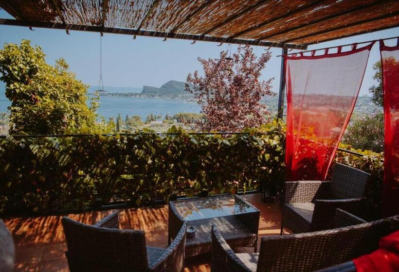استودیو استاندارد با تراس, Villa Schindler