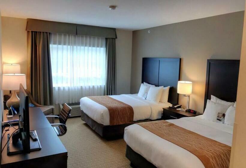 Номер Стандарт, Comfort Inn & Suites